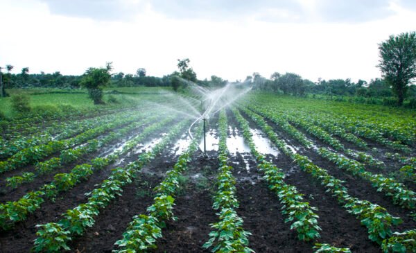 Irrigation System Investments in Africa: Unlocking Agricultural Potential and Enhancing Food Security