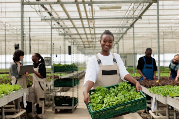 Agribusiness Investment in Africa: A Gateway to Economic Growth and Food Security