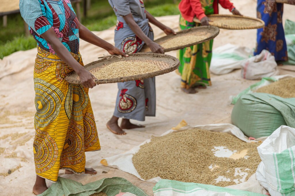 Investing in African Food Security: A Critical Path to Sustainable Development