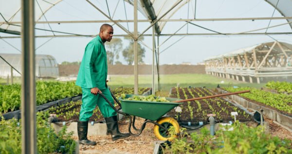 Organic Farming Investment in Africa