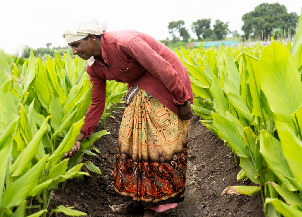 Investing in African Food Security: A Critical Path to Sustainable Development