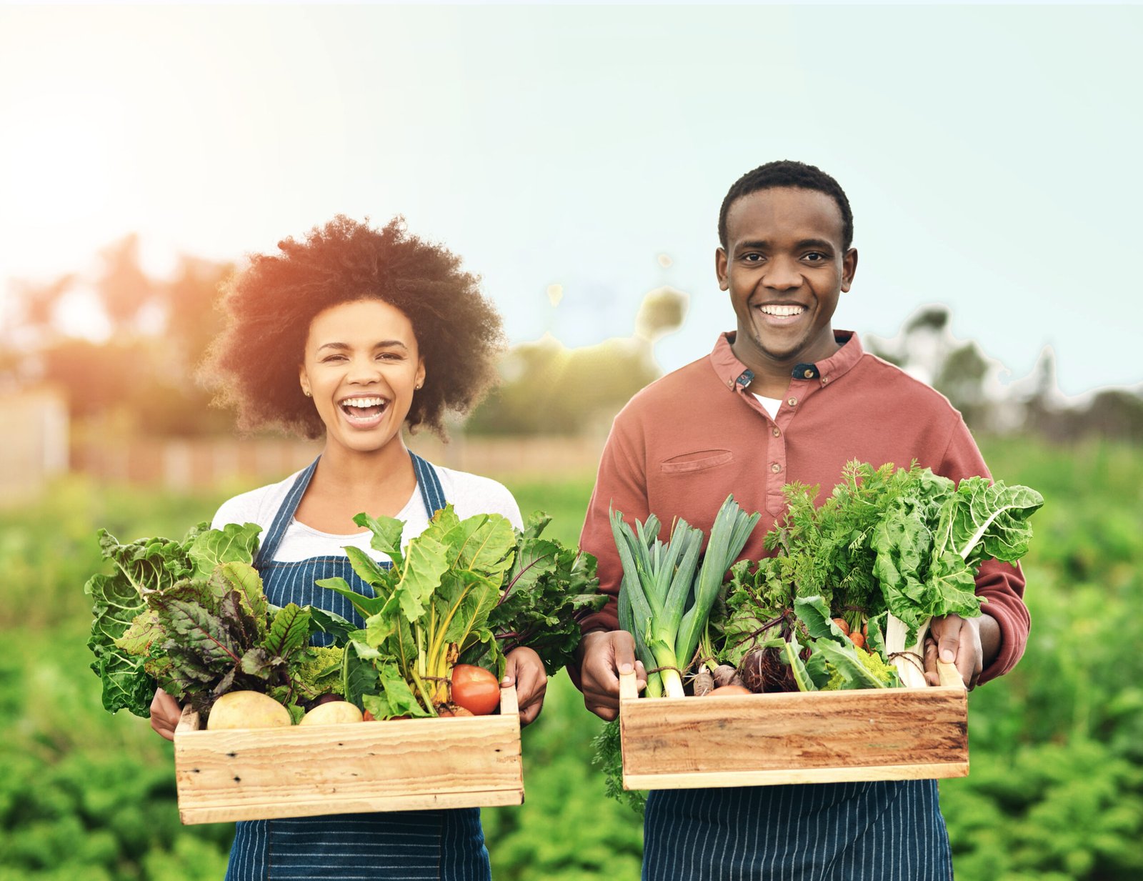 Organic Farming Investment in Africa: A Growing Opportunity for Sustainable Agriculture