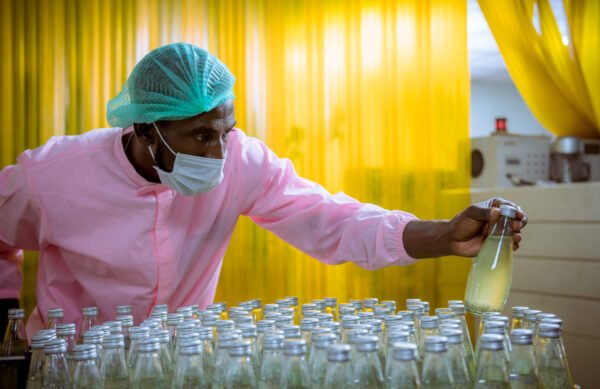 African Pharmaceutical Industry Investment