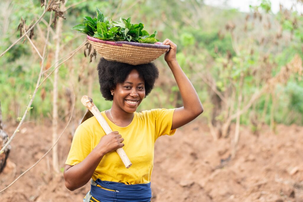 Challenges to Implementing Sustainable Agriculture in Africa