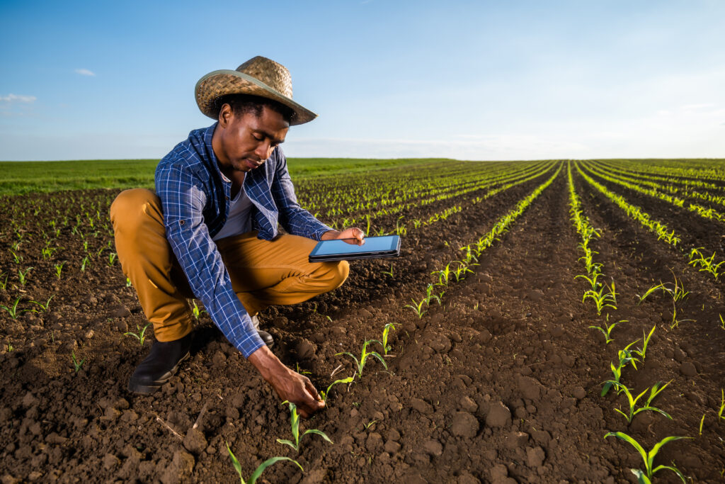 The Future of Sustainable Agriculture in Africa